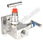 CF8M Stainless Steel 2 Way Manifold Valves,R2,Type 7 CF8M Stainless Steel 2 Way Manifold Valves,R2,Type 7