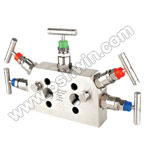SS304 5 Way Manifold Valves,R5,Type 3 Direct Mounting SS304 5 Way Manifold Valves,R5,Type 3 Direct Mounting