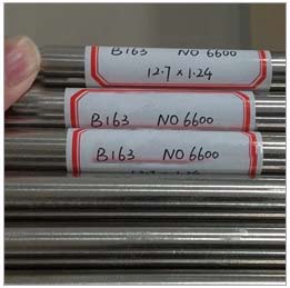 Inconel 600 Protection Tube