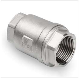 SS Air Compressor Non Return Valve