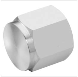 Caps, Instrumentation, Stainless Steel